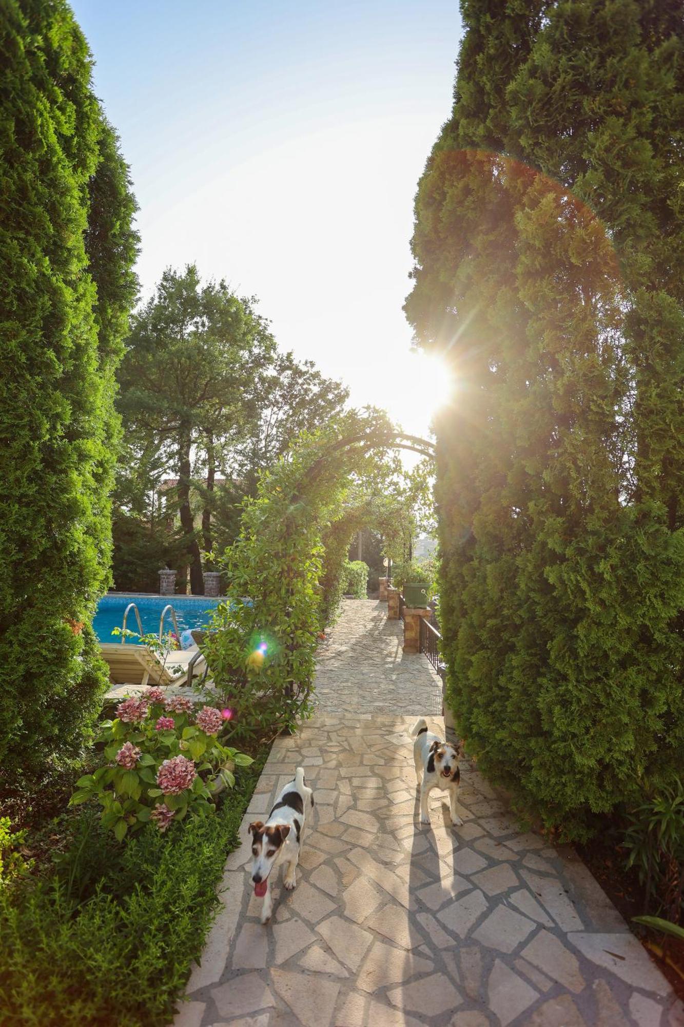 Villa Besha Herceg Novi Exterior foto